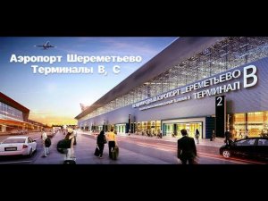 Аэропорт Шереметьево 2024. Россия, Москва / Sheremetyevo Airport 2024. Russia, Moscow