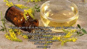 Донник трава: описание, свойства и применение