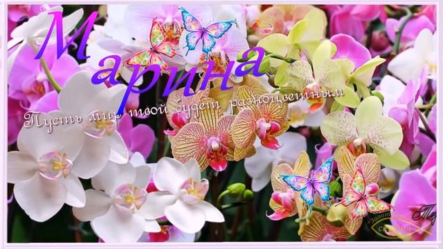 С днём рождения, Марина ! смотреть онлайн