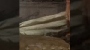 Шикарный английский фильм о любви и верности- "Чужестранка"