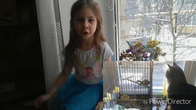 Детское СУПЕР выступление/ Детская постановка/ "Машенька" А.Барто / Мия читает стихи смотреть онлайн