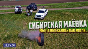 СИБИРСКАЯ МАЁВКА 18.05.24