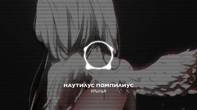 Крылья - натилиус помпилиус