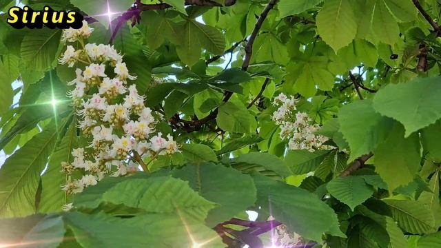 Чтобы улучшить энергетику кухни Вам нужны такие обереги смотреть онлайн