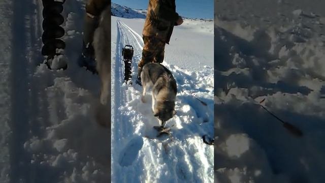 Рыбалка Митяя.Север!