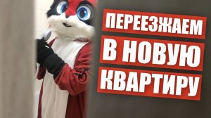 ? Переезжаем с СЫНОМ в новую квартиру ✅ Едем на самокатах в фурсьютах по городу