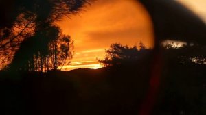 Sunset through fishing glasses