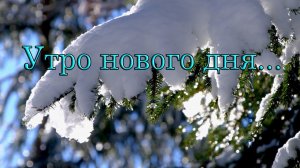 Утро нового дня *