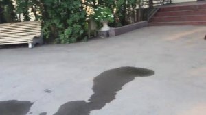 Курорт "Усолье-Сибирское. У 2-го корпуса"