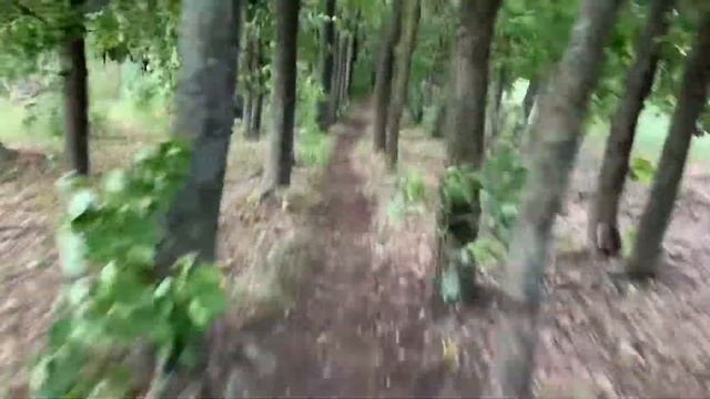 Inmotion v8 максимальная скорость по лесу смотреть онлайн