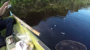 РЫБАЛКА В СРЕДНЕЙ ПОЛОСЕ РОССИИ