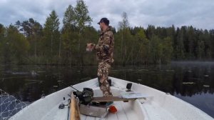 Pike fishing on topwater frog. Ловля щуки на лягушку. SPRO Bronzeye Frog 65.