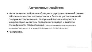 грам + кокки, микробиология