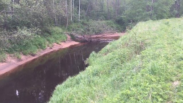 Мшинская Ящера красоты и рыбалка