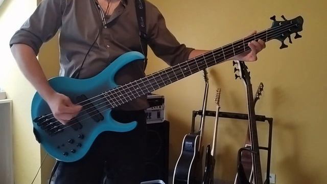 Aerosmith walk this way bass cover Ibanez BTB605 ms смотреть онлайн