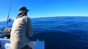 Steep Point Didn't Disappoint! | Shark Bay Fishing 3