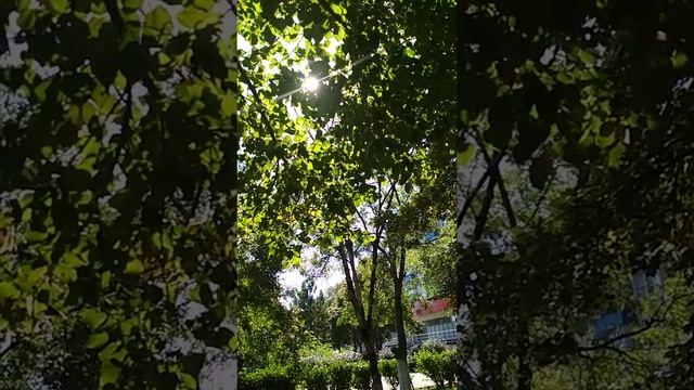 Все, что нужно для успешной аренды жилья в Новороссийске