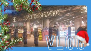 VLOG 02.01.2024 Поход в Золотое Яблоко! Что же я купила?!