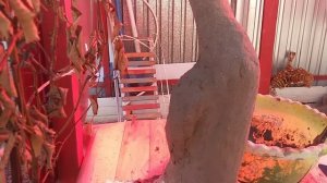 Гусь из цемента и бутылки,goose made of cement,ganso feito de cimento,goose made of cement,DIY