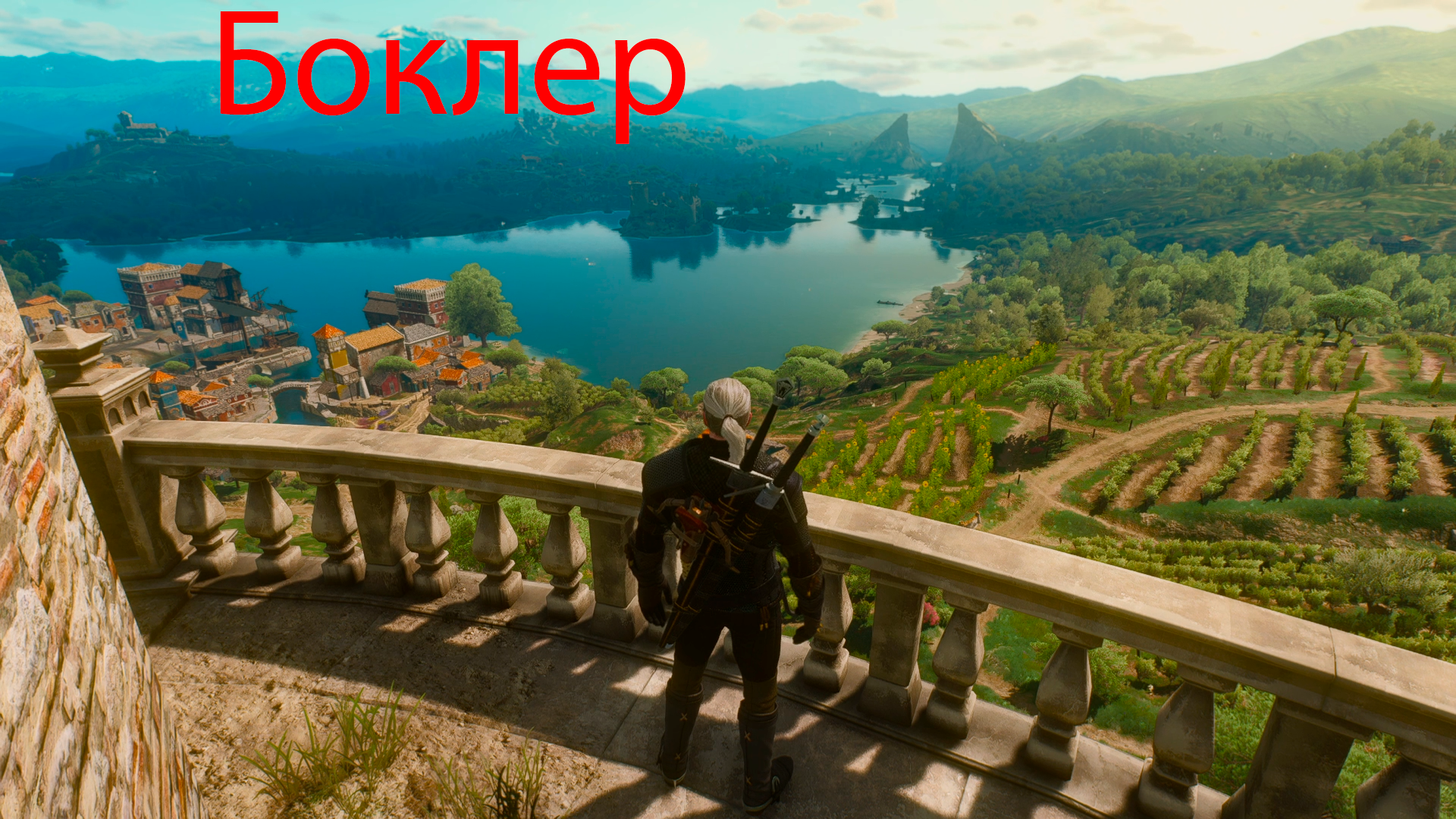 The Witcher 3: Wild Hunt - Боклер