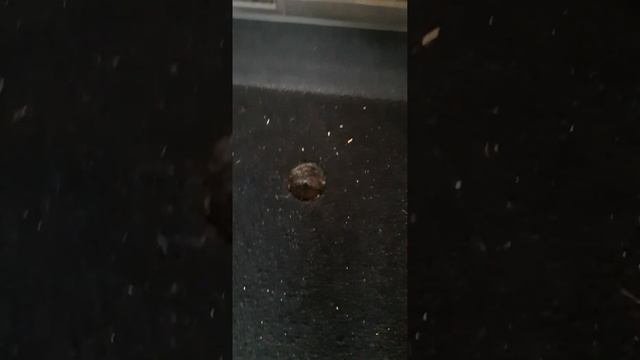 Хонда фрид спайк. запасное колесо.