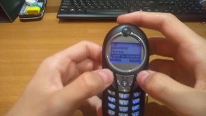 Обзор motorola c115