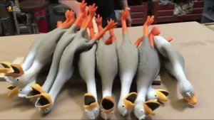 ► Как кричит резиновая утка? Не самый приятный звук