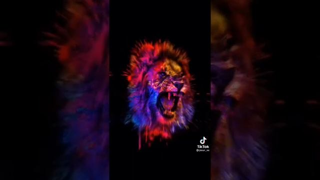 Обои для айфон смотреть онлайн