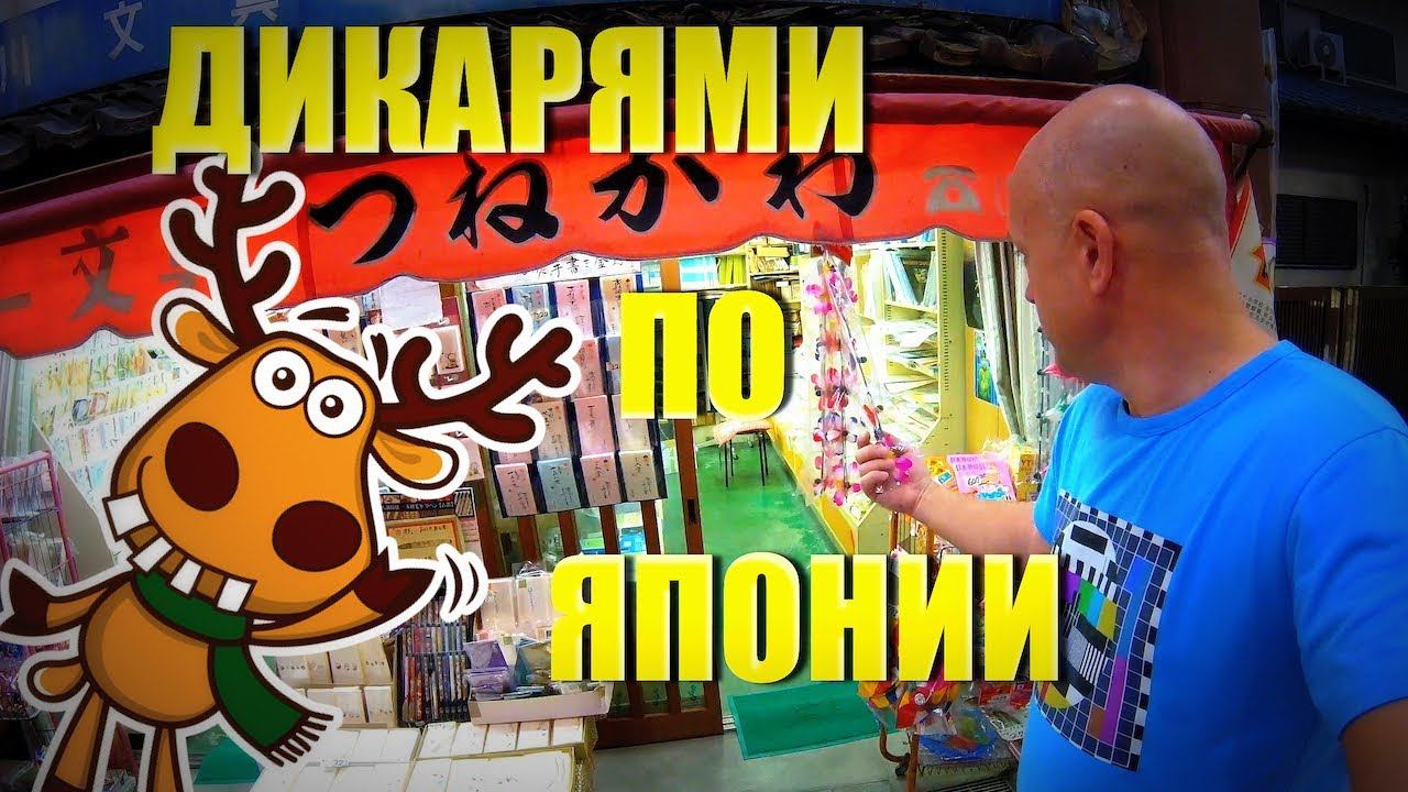 ДИКАРЯМИ в ЯПОНИЮ! #3 Олени в городе! [4k/UHD]