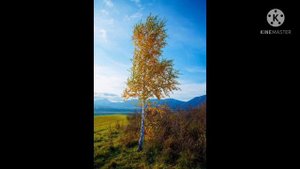 Исполнители: Александр и Ольга Бережные. "На горе, на горушке".