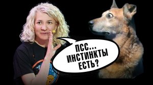 Инстинкты: от муравья до человека. Софья Пантелеева. Ученые против мифов 20-2