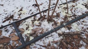 Подкисление почвы для голубики серой