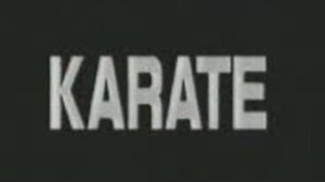 киокушинкай каратэ  лучшие нокауты~1.mp4