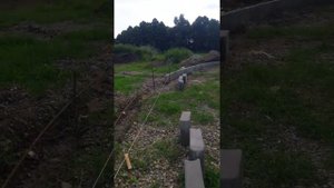 как поставить бордюры полукругом без лески