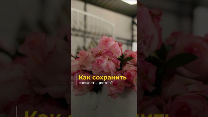 Как правильно сохранить свежесть цветов?