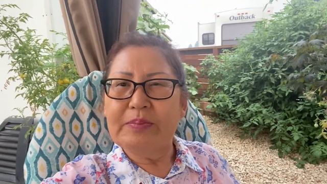 13 Как мы познакомились с моим мужем и как я переехала в США .#naimankavusa #california #sanjose смотреть онлайн