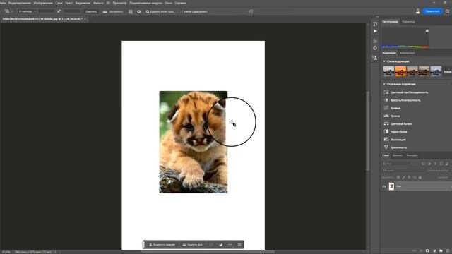 Новые инструменты в photoshop удаление и генеративная заливка. #фотошоп #photoshop #generativefill