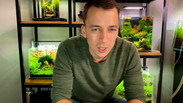 CO2 VS NO CO2 - SIDE BY SIDE COMPARISON - THE DIFFERENCE CO2 MAKES IN GROWING PLANTS смотреть онлайн