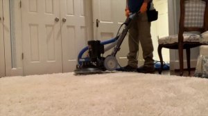 How to clean a shag rug.