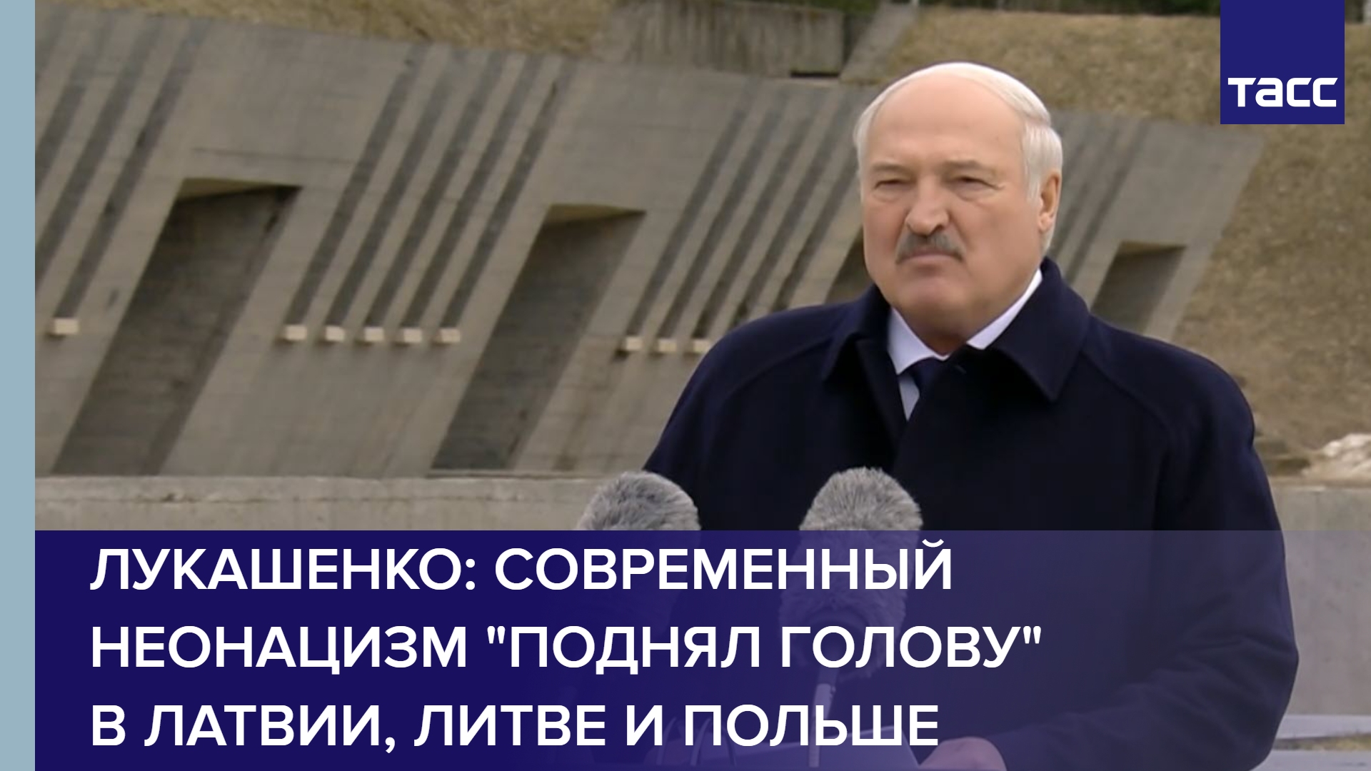 Лукашенко: современный неонацизм "поднял голову" в Латвии, Литве и Польше #shorts