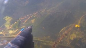 Подводная охота.Воронежская обл..mp4