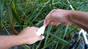 Ловля рыбы на Дону в сентябре