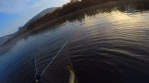 крым рыбалка озеро гасфорт сом и щука на кружки