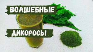 СУПЕРФУД  из КРАПИВЫ И СНЫТИ своими руками