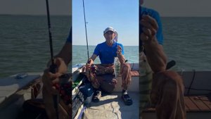 Один жаркий день в ветреную погоду на маныче 30июня.