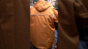 Picea pungens 'Iseli Foxtail' (Iseli Foxtail Blue Spruce)