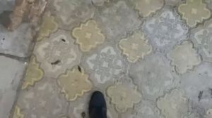 Тротуарная плитка после зимы ,зимовка плитки прошла успешно