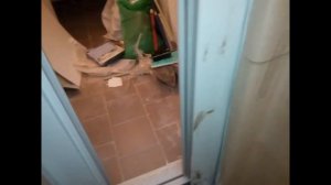 Жильцы насрали в лифте