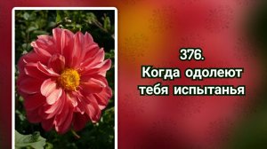 Гимны надежды 376 Когда одолеют тебя испытанья (-)