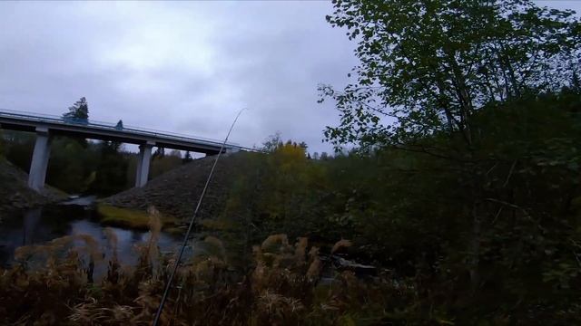 В поисках форели от Псковской области до Карелии. На что ловит Медведь? смотреть онлайн